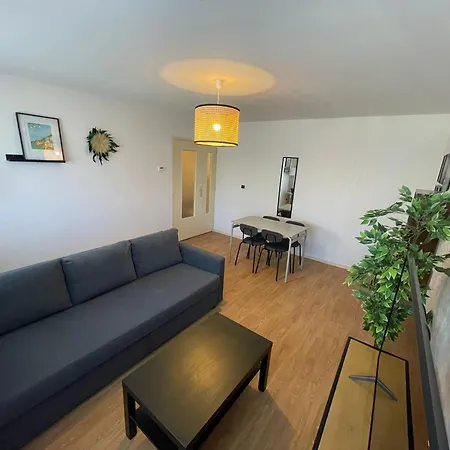 New Cosy Planta - T2 - Parking + Wifi Apartman Pau