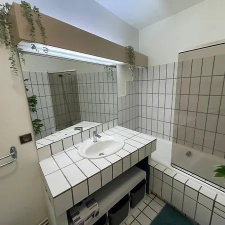 New Cosy Planta - T2 - Parking + Wifi Διαμέρισμα Pau