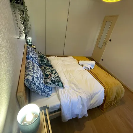 New Cosy Planta - T2 - Parking + Wifi Apartman Pau